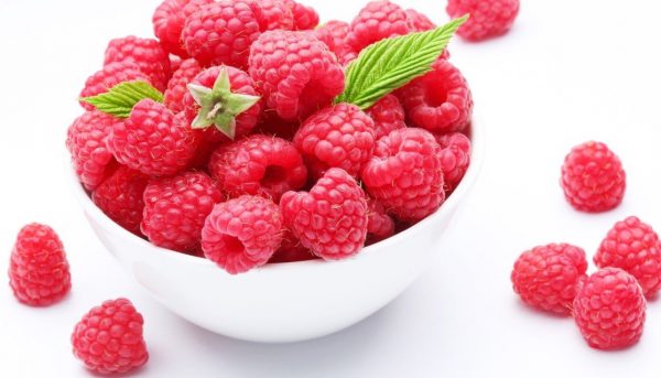 Фото достижения отличного урожая малины